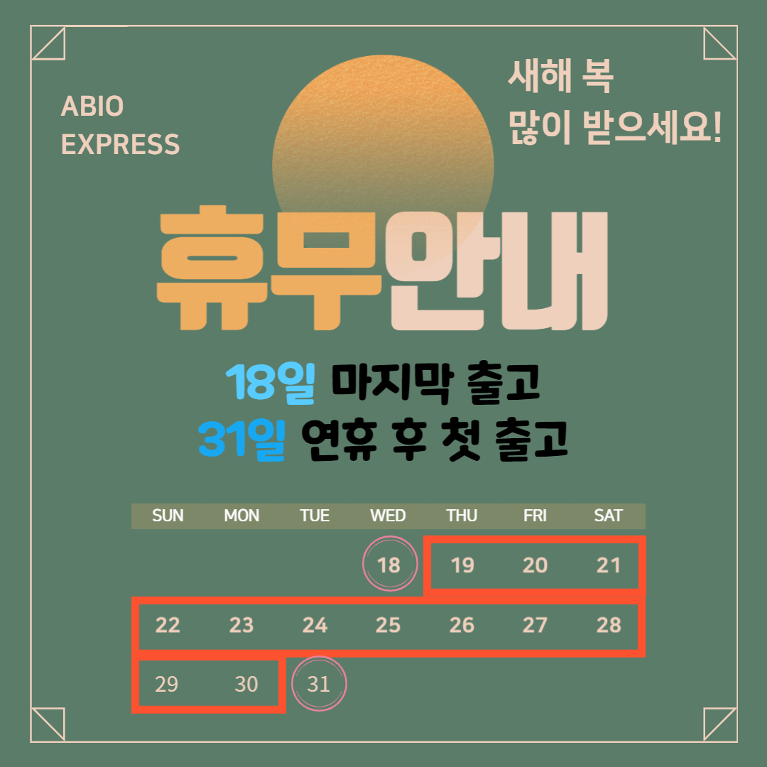 팝업